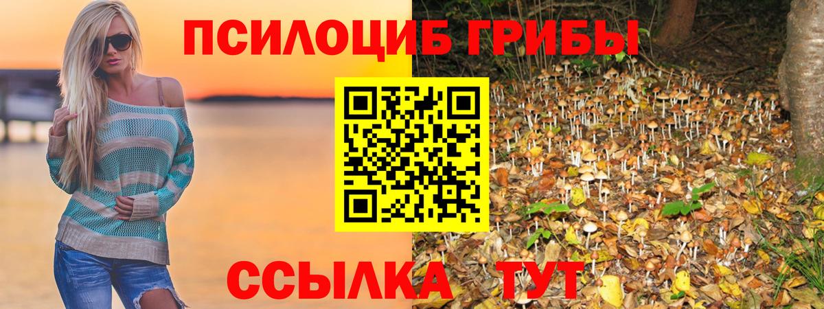 Псилоцибиновые грибы мухоморы Полевской
